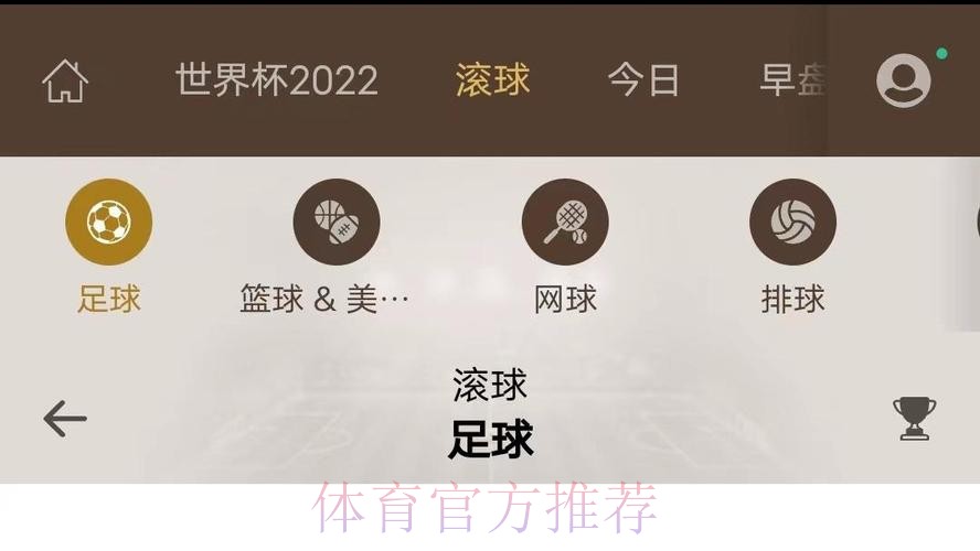 如何安全访问世界杯滚球入口官方平台